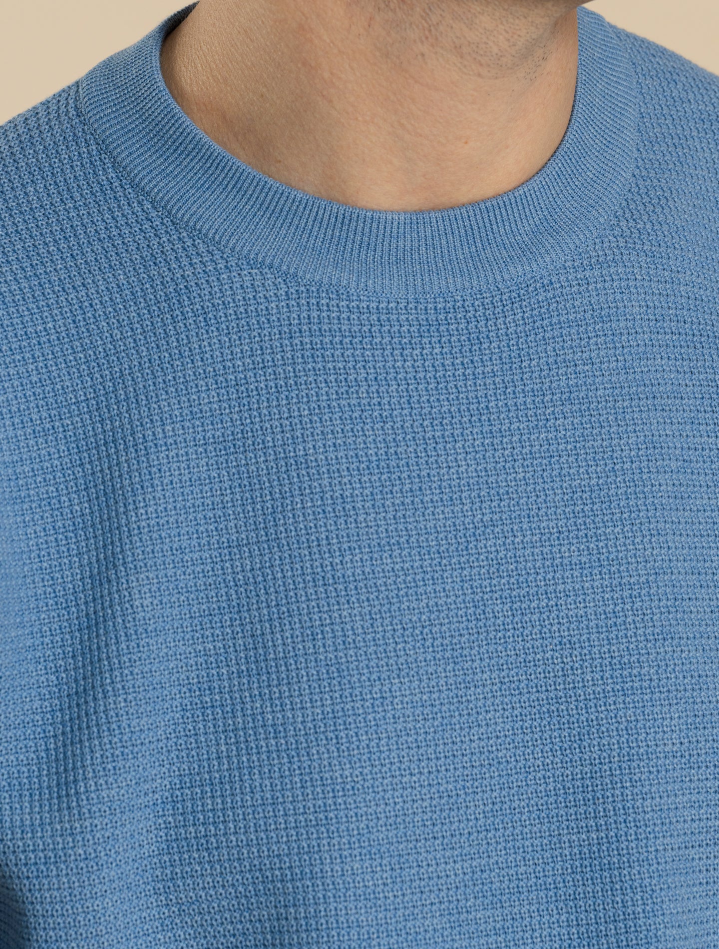 Cotton Structured Crewneck Short Sleeve Cielo Fioroni Knitwear 48