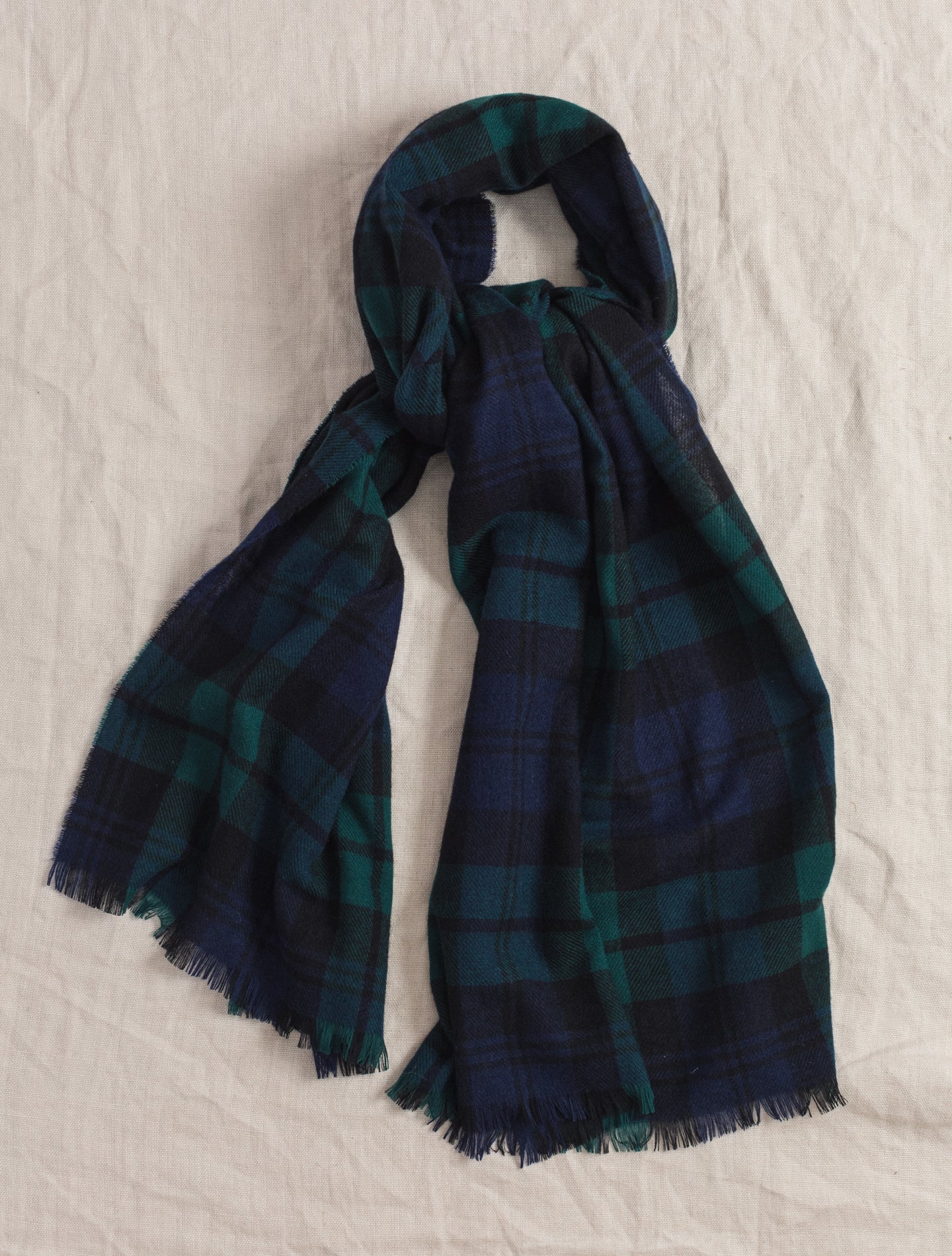 Checked Lightweight Cashmere Scarf Black Watch | Gabucci