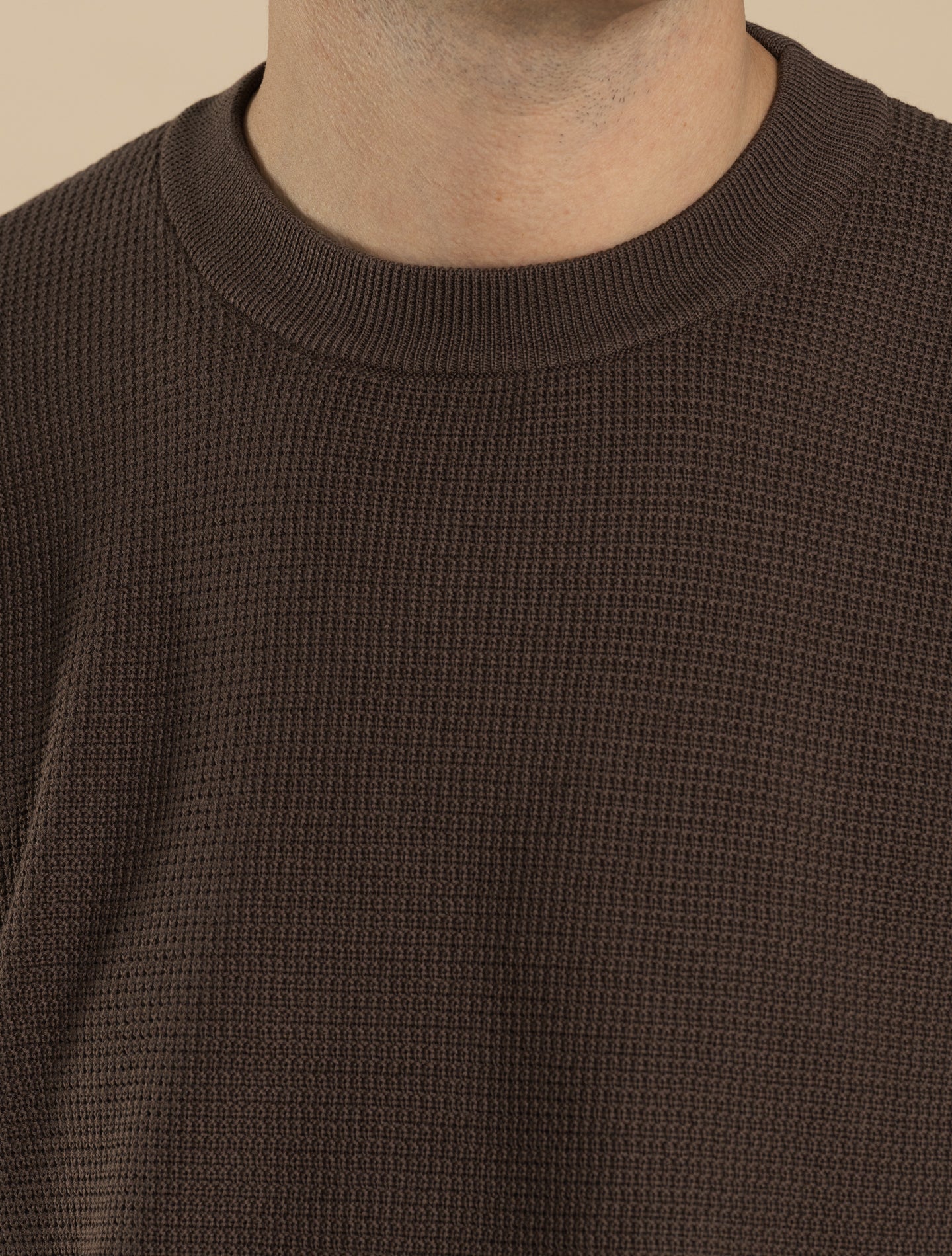 Cotton Structured Crewneck Short Sleeve Marrone Fioroni Knitwear 48