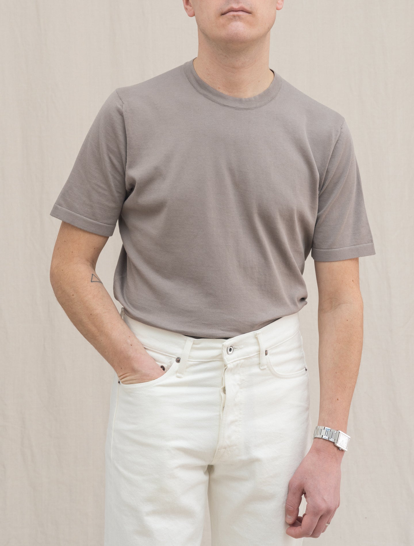 Fine Knitted Cotton Crewneck Short Sleeve Taupe Fioroni Knitwear 48