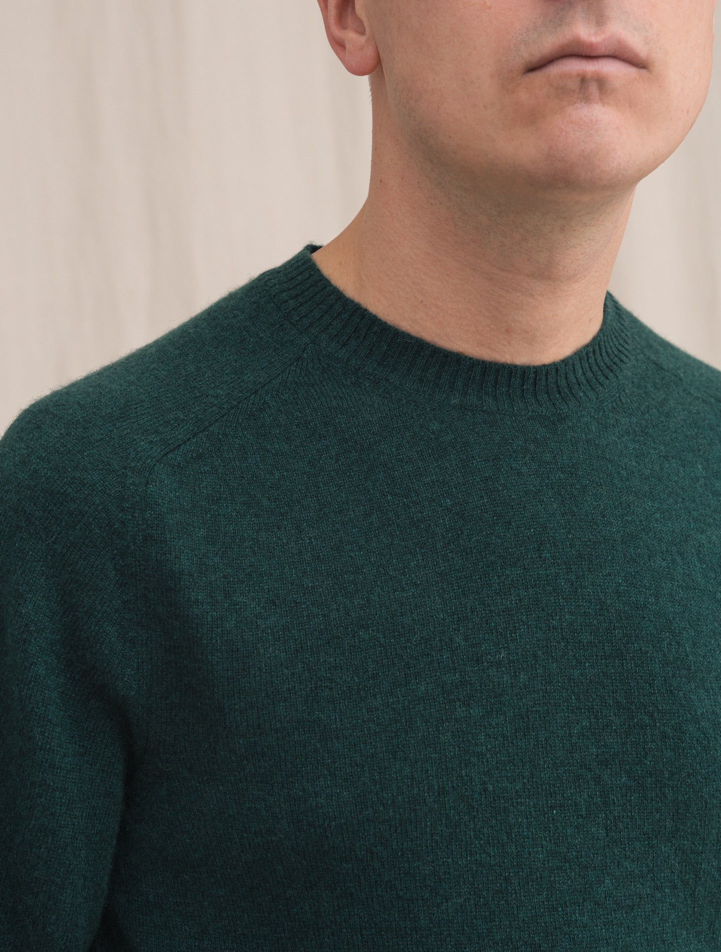 Knitted Cashmere Crewneck Green | Gabucci