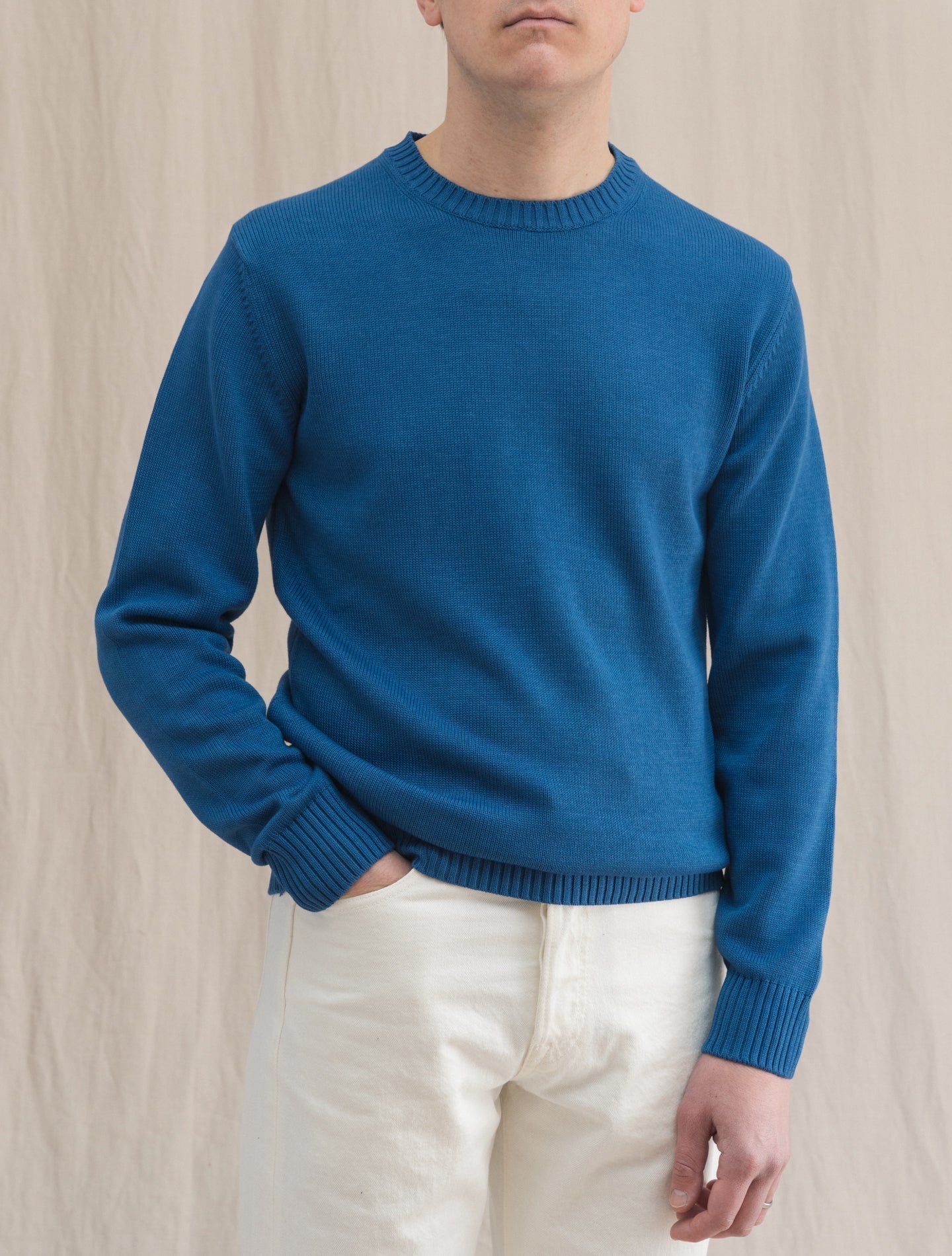 Knitted Cotton Crewneck Blue Morgano Knitwear 46