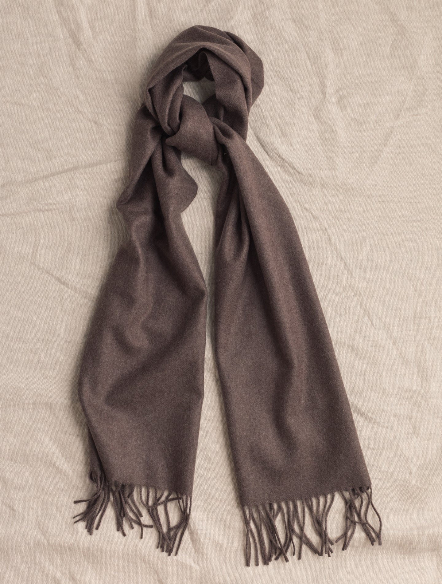 Solid Cashmere Scarf Brown | Gabucci