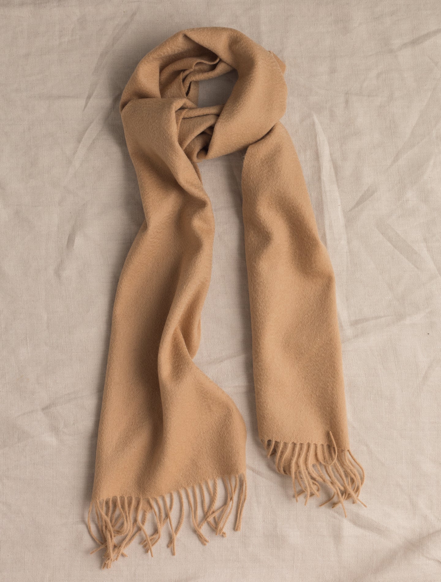 Solid Cashmere Scarf Camel | Gabucci