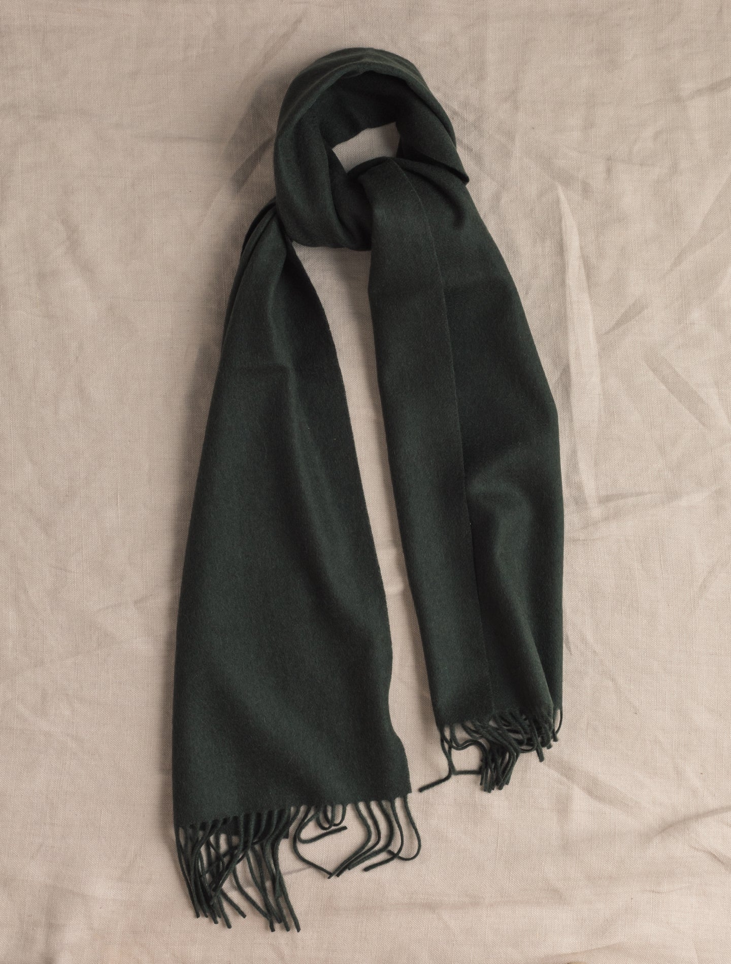 Solid Cashmere Scarf Green | Gabucci