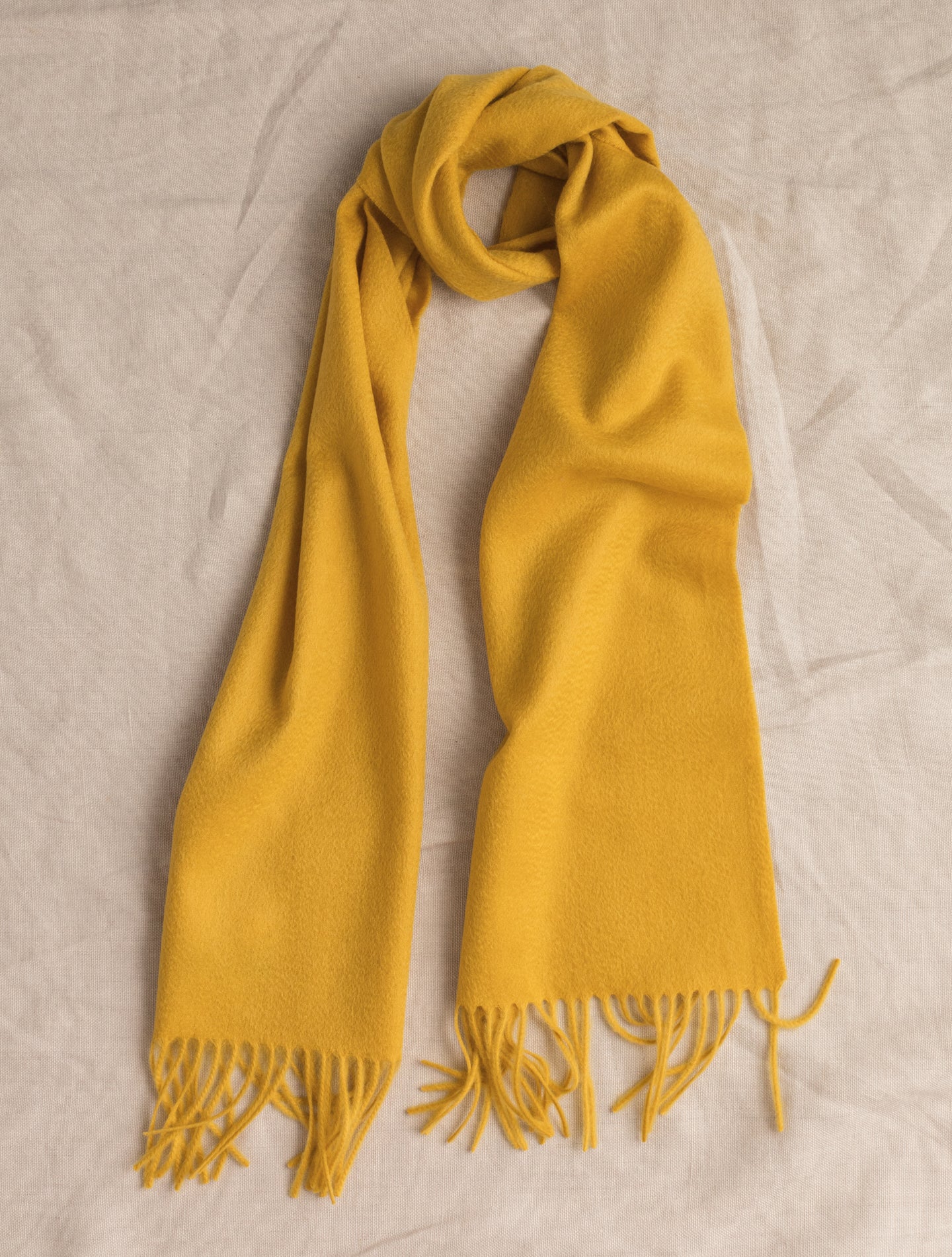 Solid Cashmere Scarf Yellow | Gabucci