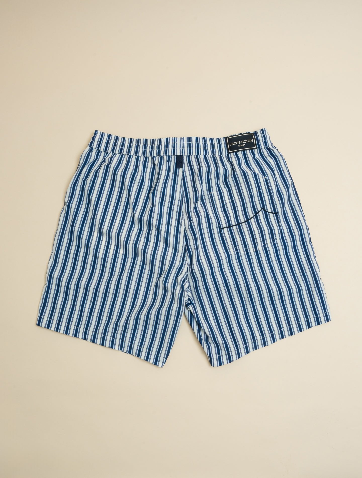 Striped Swim Trunks Blue Jacob Cohën Swimwear S