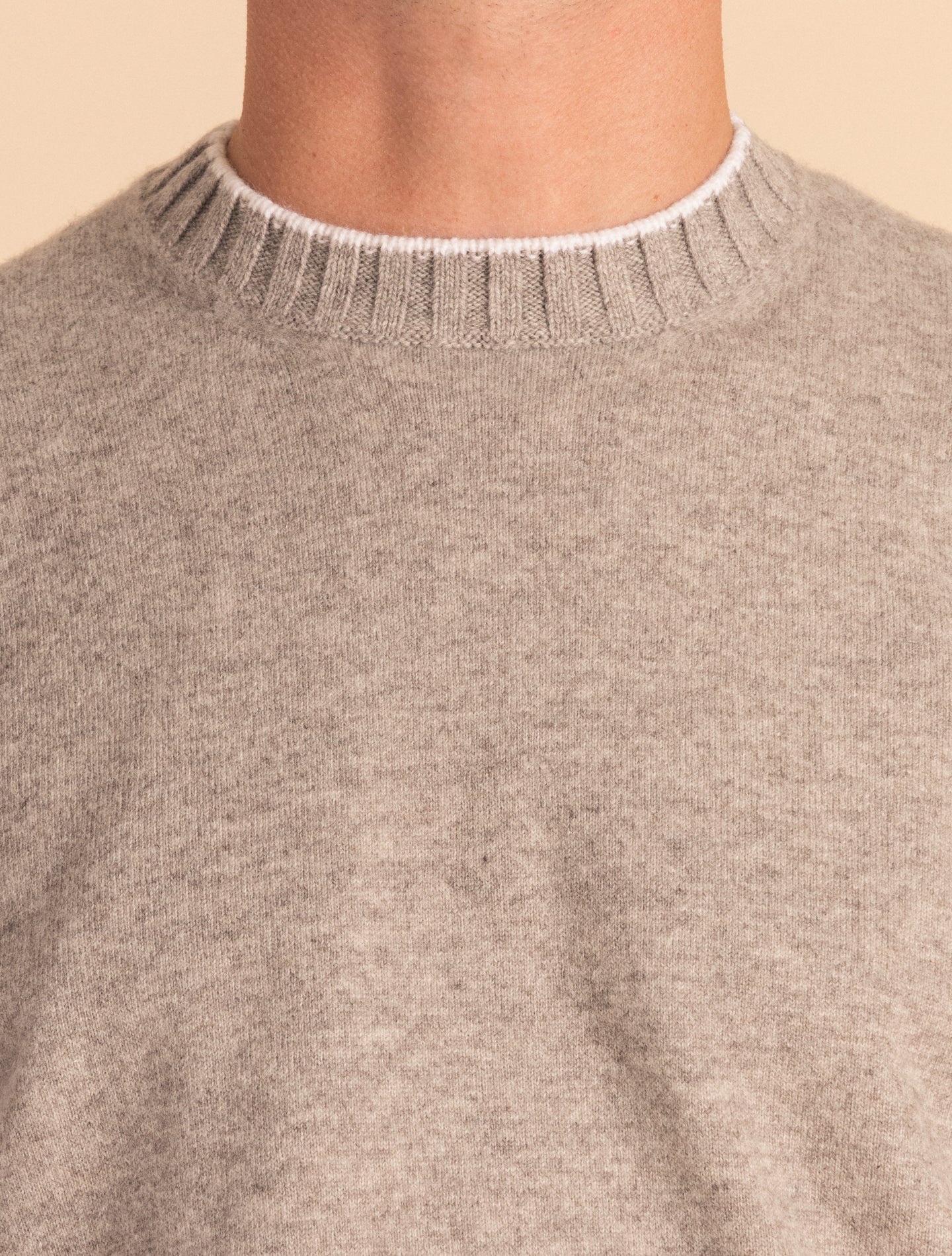 Beige Duvet Cashmere Knitted Crewneck | Gabucci