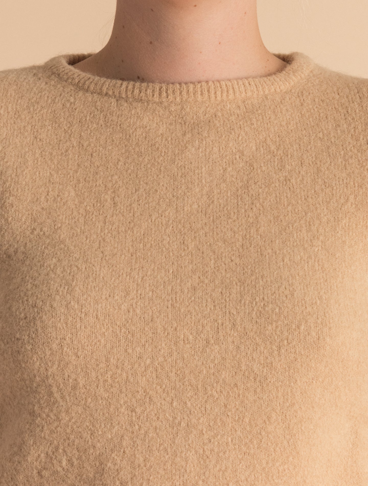 Camel Wool Alpaca Crewneck Sweater | Gabucci