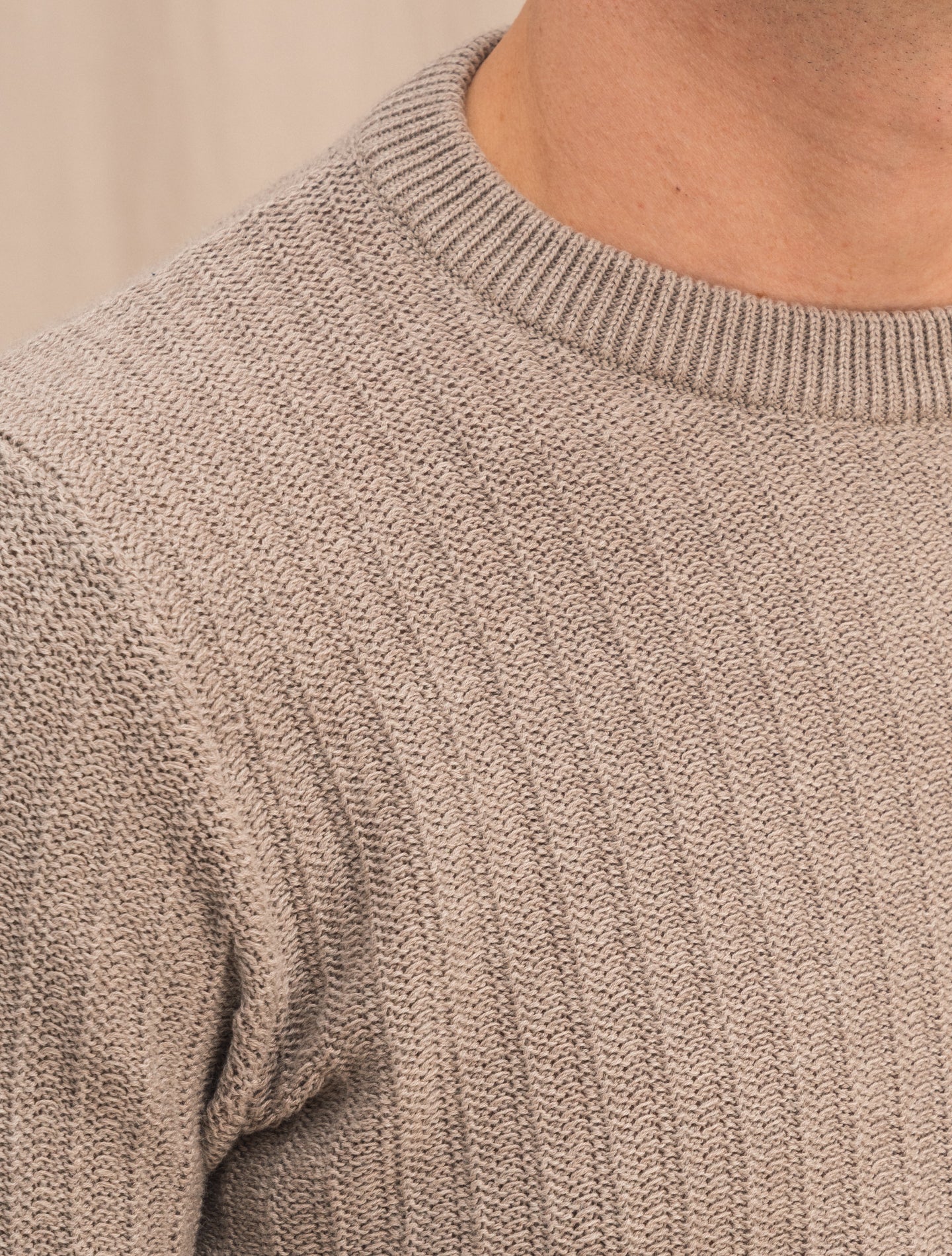 Rib Knitted Cotton Cashmere Crewneck Taupe Fioroni Knitwear 46