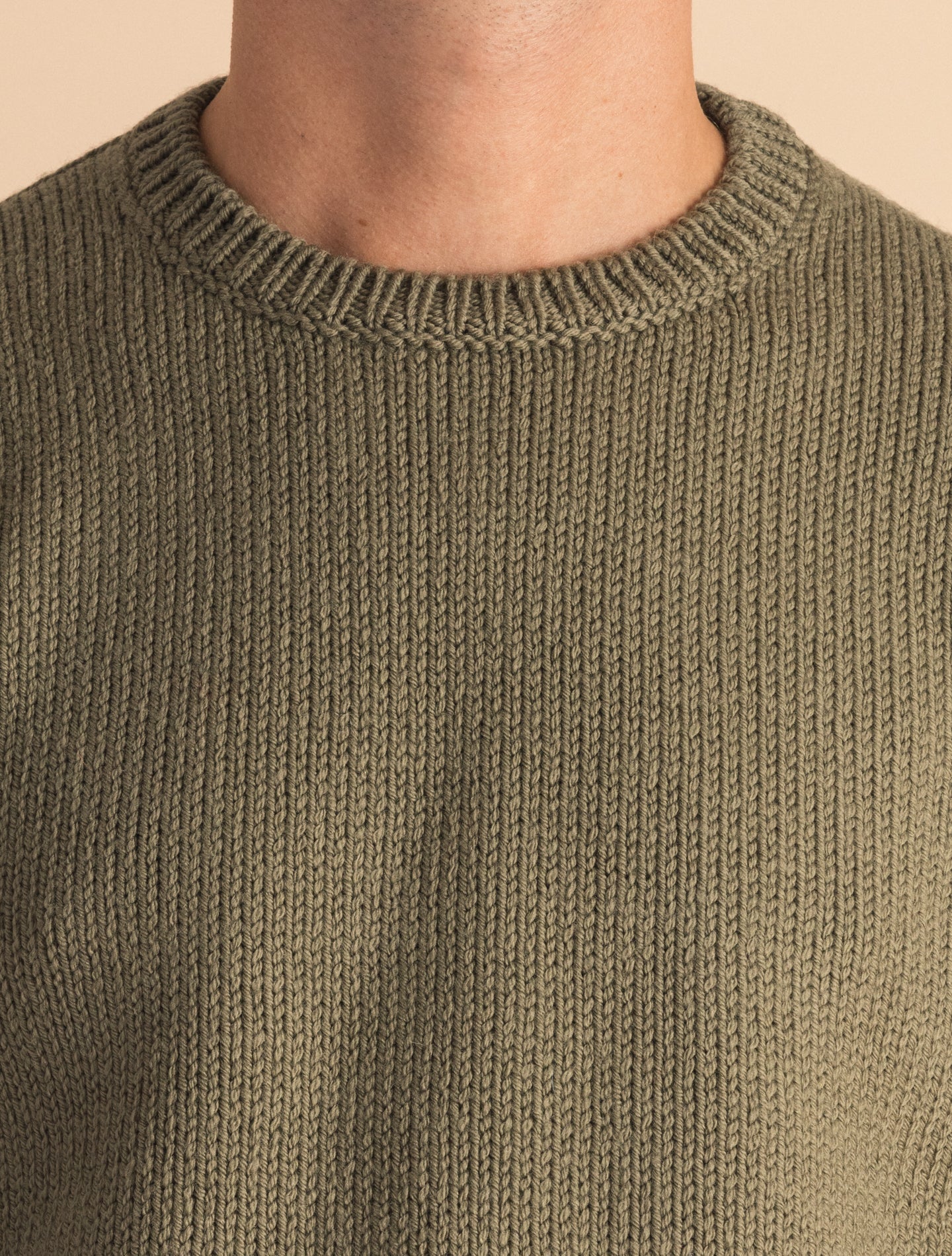 Sage Denzel Crewneck Wool Sweater | Gabucci